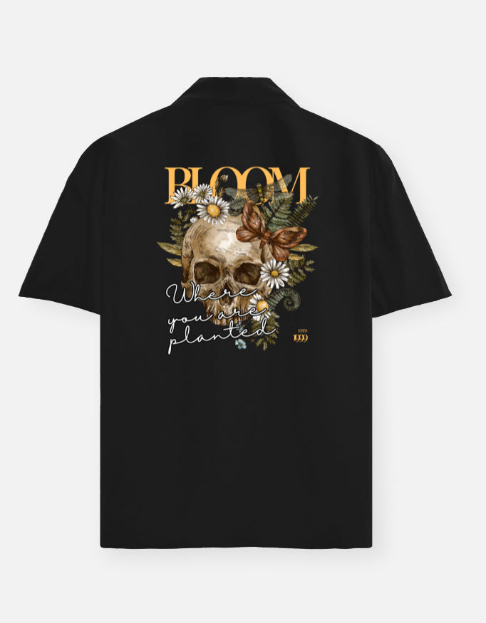Back_3_c_2.jpg